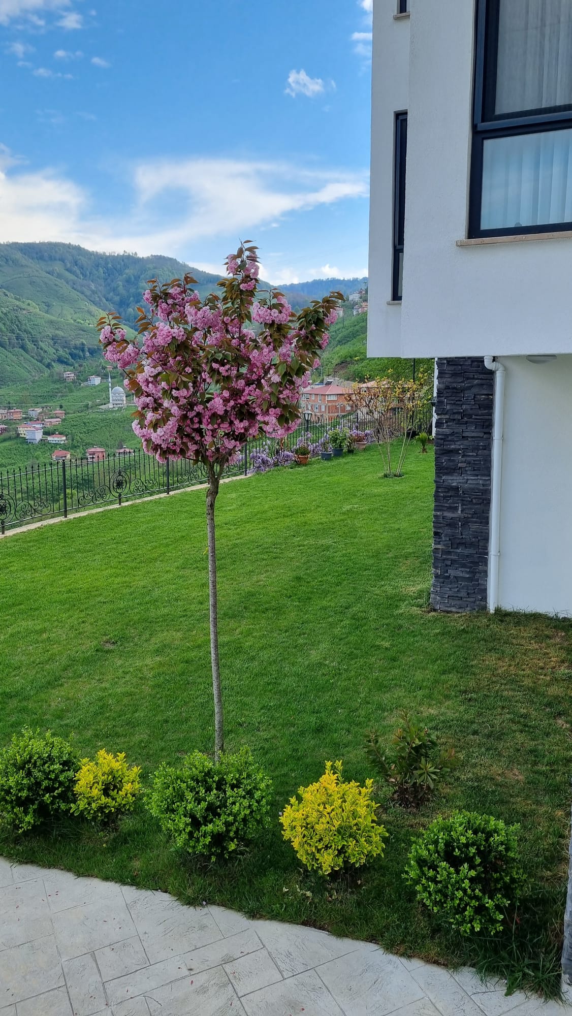 Peyzaj Tasarımı