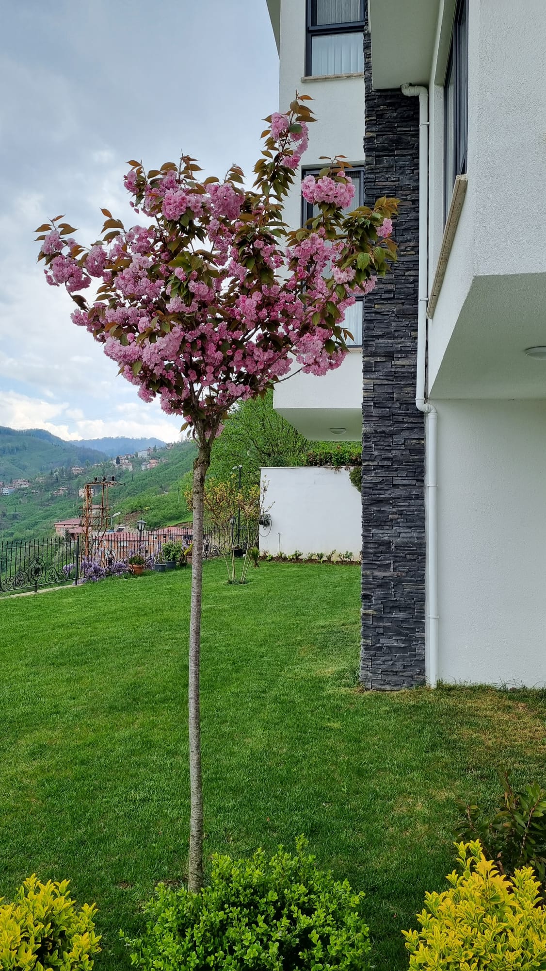 Peyzaj Uygulaması
